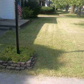 lawn care services by DRAZ OUTDOOR CARE reviewed on June 30, 2025