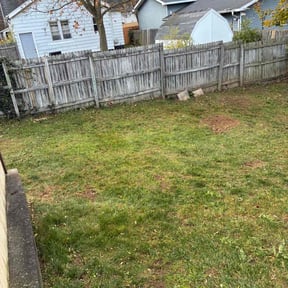 Leaf Removal by bullion  landscape reviewed on November 23, 2025