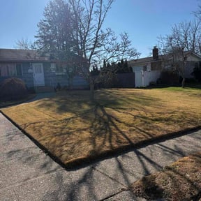 Leaf Removal by 11 lawns reviewed on April 26, 2026