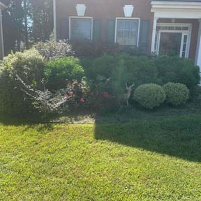 Bush Trimming by Ginter Handyman Service reviewed on October 19, 2025