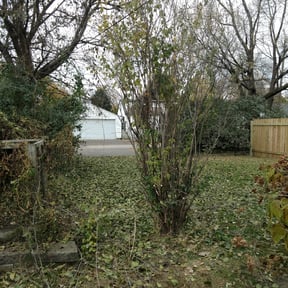 Bush Trimming by Dufrene Lawn Care reviewed on August 18, 2025