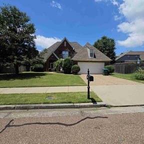 landscaping services by Top Turf L.L.C reviewed on August 20, 2025