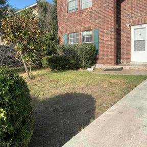 Bush Trimming by Live landscaping reviewed on August 17, 2025