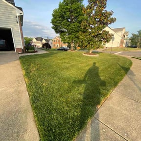 lawn service by Grove Professional reviewed on August 15, 2025