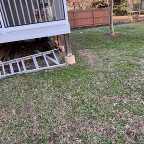 Leaf Removal by Freddie MACK reviewed on September 19, 2025