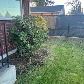 Bush Trimming by MS RANCH LANDSCAPING SERVICES reviewed on February 6, 2026