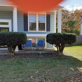 Bush Trimming by Major Services reviewed on November 21, 2025