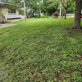 yard maintenance by Blade2Bloom reviewed on August 15, 2025