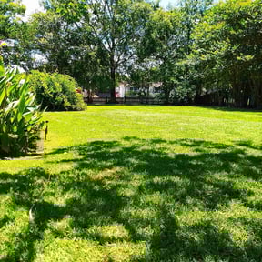 yard maintenance by S&amp;M lawn and tree service llc reviewed on February 12, 2026