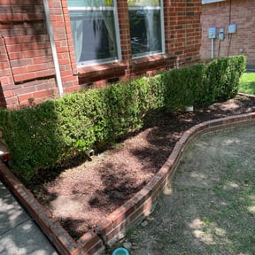 Bush Trimming by L & J Landscaping reviewed on August 17, 2025