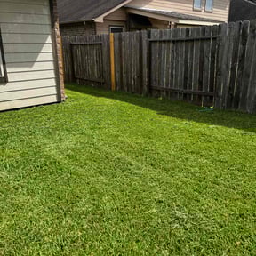 landscaping services by Lewis Landscaping reviewed on November 20, 2025