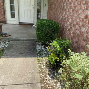 Bush Trimming by Complete Concrete reviewed on August 16, 2025