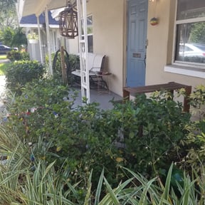 Bush Trimming by Kowtown Services reviewed on August 18, 2025
