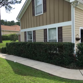 Bush Trimming by WJ Lawn and land are reviewed on August 16, 2025