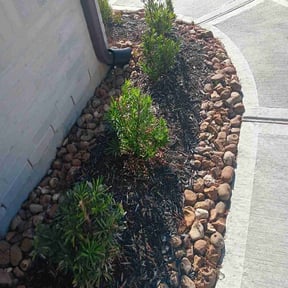 Bush Trimming by Express Innovations reviewed on August 21, 2025