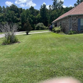 gardening service by Craion Lawn Service reviewed on August 16, 2025
