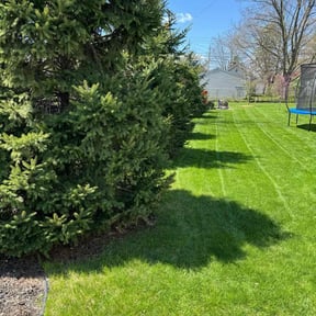 gardening service by Green Earth Lawn and snow LLC reviewed on November 24, 2025