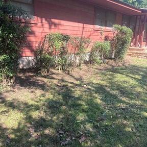 turf care by Royalty lawn care reviewed on August 3, 2025