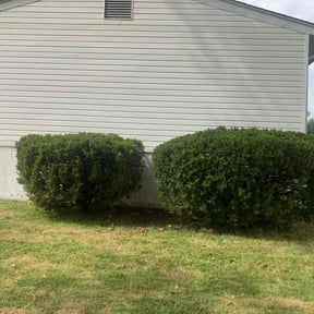 lawn maintenance by Stetty&#039;s Lawn LLC reviewed on March 11, 2024