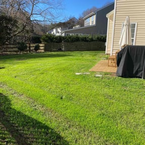 yard service by W S Donnell Lawn Services reviewed on August 19, 2025