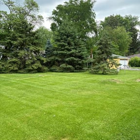 landscaping by Gonzalez Landscaping reviewed on August 21, 2025