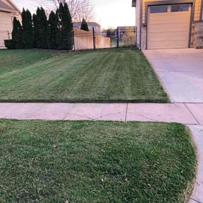 grass maintenance by Azuloutdoorservices@gmail.com reviewed on April 17, 2024