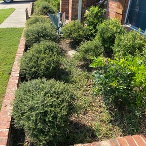 Flower Bed Weeding by Just Keep Mowing reviewed on August 18, 2025