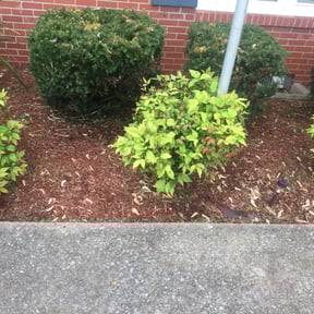 Flower Bed Weeding by Total Comfort Lawn Care reviewed on August 19, 2025