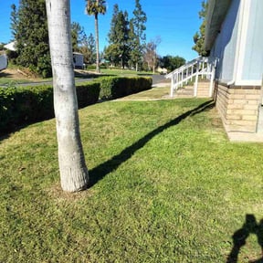 turf maintenance by Clippin Ur grass landscaping reviewed on October 30, 2024