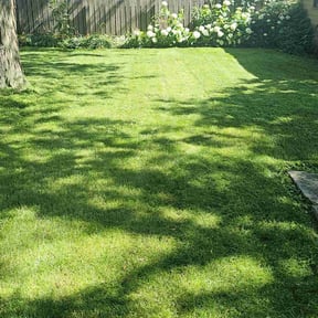 landscape maintenance by Lindsay’s lawncare reviewed on August 16, 2025