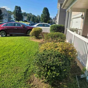 Bush Trimming by JES Lawn Service LLC reviewed on October 22, 2025