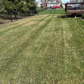 turf care by Affordable Excellence Lawn Care reviewed on March 15, 2024