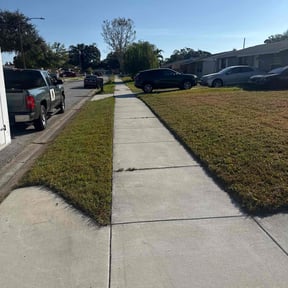 Weeding by ACS Lawn Care reviewed on July 9, 2020