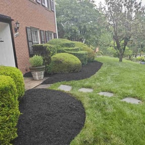Mulching by Speedy Lawnmower Landscaping reviewed on August 16, 2025