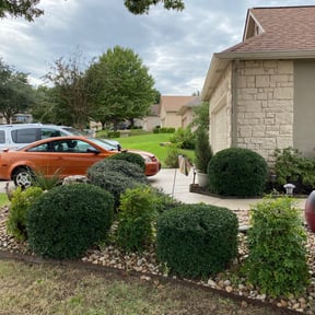 Bush Trimming by Cabrera Landscaping reviewed on August 18, 2025