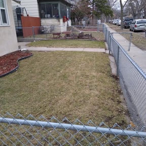 Leaf Removal by Carbon Dioxide Recyclers reviewed on August 17, 2025