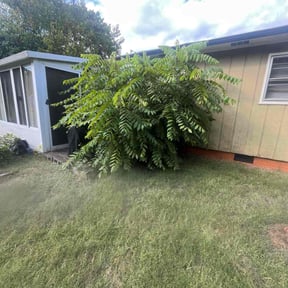 Bush Trimming by Melvin’s Lanscaping reviewed on October 20, 2025