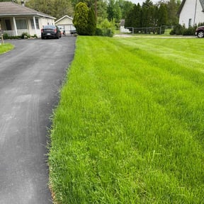 yard work by ChinaCat Landscaping reviewed on August 20, 2025