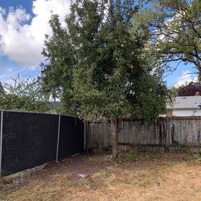 Bush Trimming by Terjuan Short reviewed on August 19, 2025
