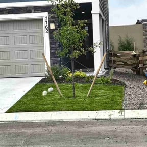 grass maintenance by 4C&#039;s Lawn Care LLC reviewed on August 20, 2025