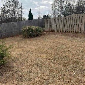 Bush Trimming by Jp lawn care reviewed on April 14, 2026