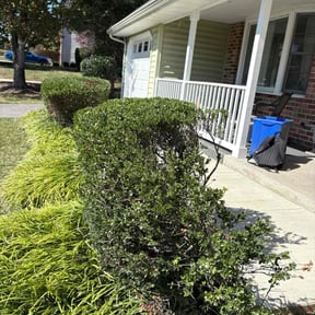 Bush Trimming by Fresh cutts reviewed on October 23, 2025