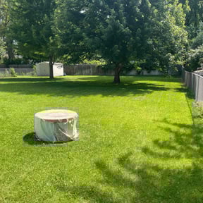 residential landscaping by B&amp;t lawn service reviewed on November 24, 2025