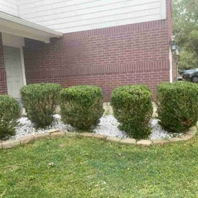 Bush Trimming by ChrisVon Services Inc. reviewed on August 18, 2025