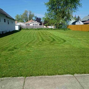 grass maintenance by Backyard Ponds Patios LLC reviewed on August 16, 2025