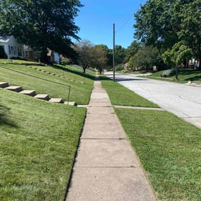 turf care by Jose Landscaping. reviewed on April 11, 2024