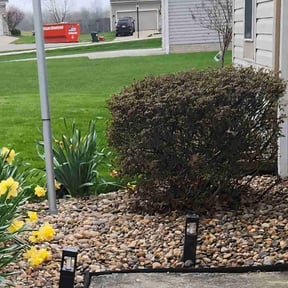 Bush Trimming by Tj lawn reviewed on April 29, 2026