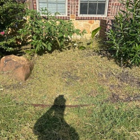 Flower Bed Weeding by Tried &amp; True Landscape reviewed on October 18, 2025