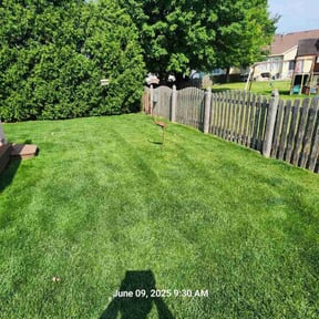 yard maintenance by Razo landscape reviewed on January 26, 2026