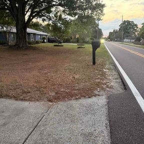 Leaf Removal by Evergreen Lawns reviewed on May 13, 2026